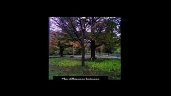 A blog about every other remake of songs that have the first time we made love lyrics while listening to older ones of them for free and for fun