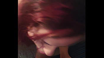 Black bulls bunny ravishing ray main bunny