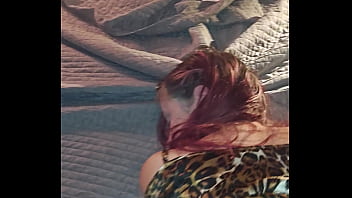 Black bulls bunny ravishing ray main bunny