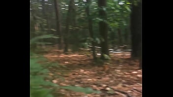 Qui veut essayer de tirer la lapine