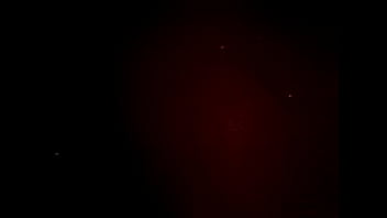 Gordita serrana lince gime