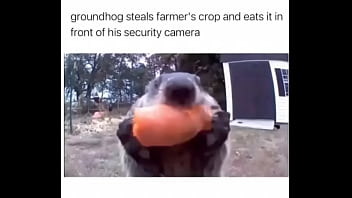 Furry absolutely fucks farmer over