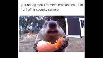 Furry Absolutely Fucks Farmer Over thumbnail
