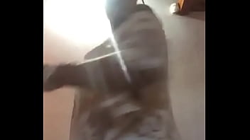 Beluhot cosplay tecito