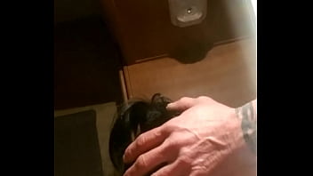 Sexy chic sucks my cock