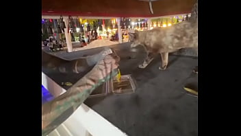 Nothing to see here not a crazy cat lady feeding stray cats in thailand d