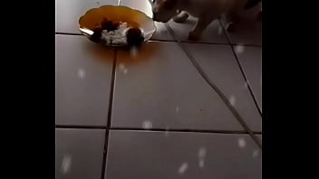 Indonesia Seks thumbnail