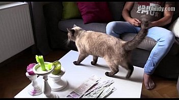 Debt Dandy 108 thumbnail