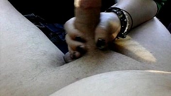 Girlfriend blowing me