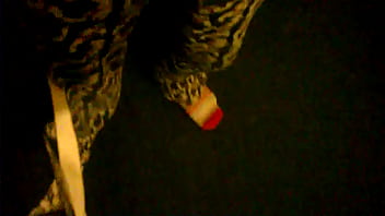 Wp 20170104 04 08 21 Pro thumbnail