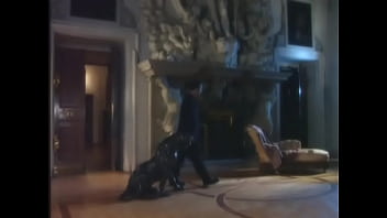 Miss anderson is a european beauty and david is her lucky choice