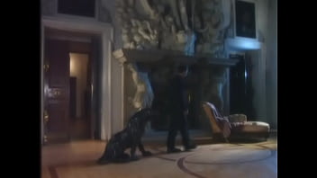 Miss anderson is a european beauty and david is her lucky choice Miss anderson is a european beauty and david is her lucky choice