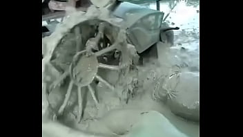 Asiático com gás hélio 24 10 2024