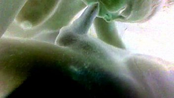 Vid 20140507 020719 thumbnail