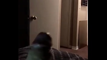 Reintjes lee mike broooooo