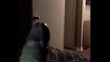 Reintjes lee mike broooooo