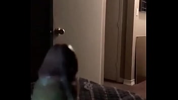 Reintjes lee mike broooooo