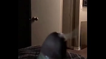 Reintjes lee mike broooooo