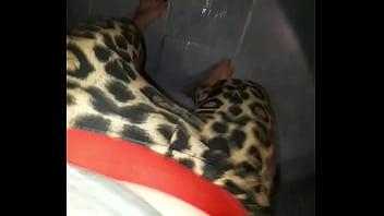 Wetting pissing leotard pants jul 29 2024