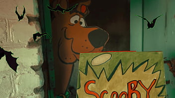 Velma went to solve the mystery with scooby doo