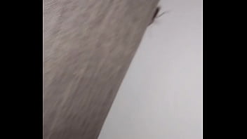 Insect with curt cobain