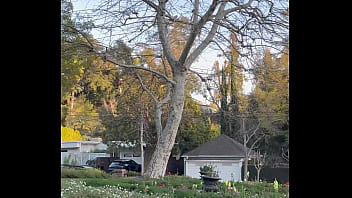 The free sfw version of my first ever pornlog