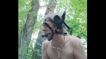 2024 09 04 esclave f la ponygirl en forêt