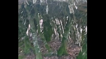 Tu me rejoint dans les bois