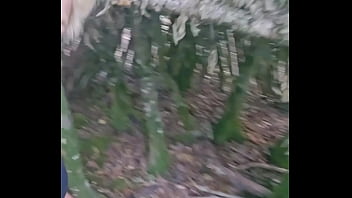 Tu me rejoint dans les bois