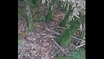 Tu me rejoint dans les bois