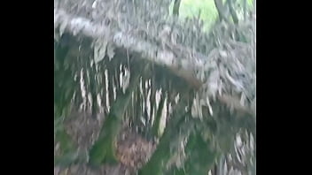 Tu me rejoint dans les bois