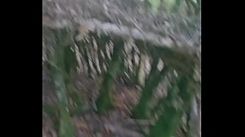 Tu me rejoint dans les bois