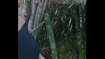 Tu me rejoint dans les bois