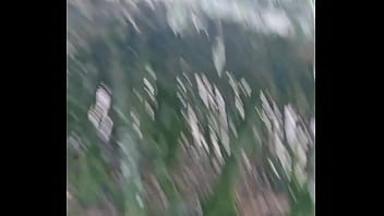 Tu me rejoint dans les bois