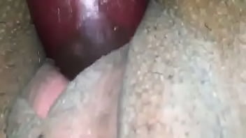 Ellechi update #3 66103098 96ac 4d89 b628 f96580d58479 feb 19 2024