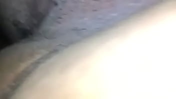 Ellechi update #3 66103098 96ac 4d89 b628 f96580d58479 feb 19 2024