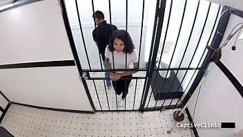 Fraternal fun michelle anderson