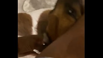 I know a guy who has his own private jet he wants to take me to malibu for dinner at nobu tomorrow night for dinner with