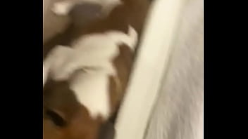 I know a guy who has his own private jet he wants to take me to malibu for dinner at nobu tomorrow night for dinner with