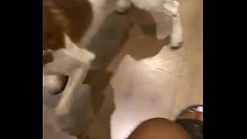 I know a guy who has his own private jet he wants to take me to malibu for dinner at nobu tomorrow night for dinner with