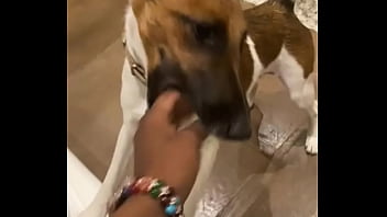 I know a guy who has his own private jet he wants to take me to malibu for dinner at nobu tomorrow night for dinner with