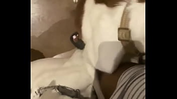 I know a guy who has his own private jet he wants to take me to malibu for dinner at nobu tomorrow night for dinner with