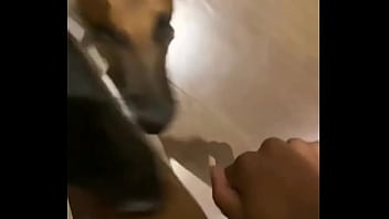 I know a guy who has his own private jet he wants to take me to malibu for dinner at nobu tomorrow night for dinner with