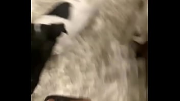 I know a guy who has his own private jet he wants to take me to malibu for dinner at nobu tomorrow night for dinner with