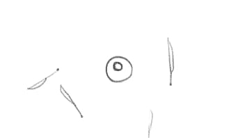 Hip hop brap trap boom bap music producer rapper and sound designer