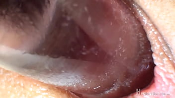 Pixie uses toy for closeups