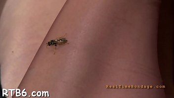 Sexy bondman delights with oral sex