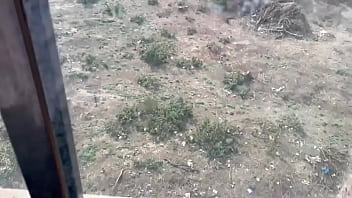 Corporate lady worker fucked by collegue when she asked for lift