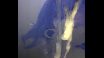 Natsu kimoe ishtar cosplay sop