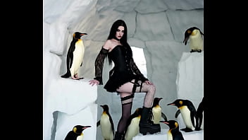 Sexy pics and dancing for nhl 11 16